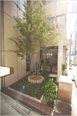 �G���g�����X�܂��